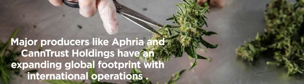 Major producers like Aphria and CannTrust Holdings have an expanding global footprint with international operations .